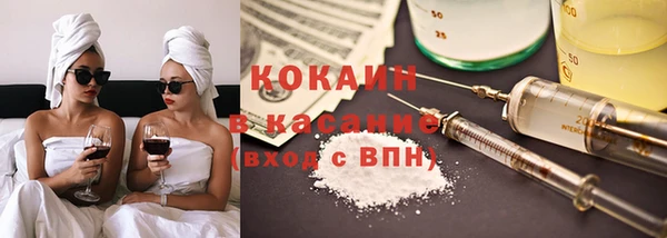 твердый Арсеньев