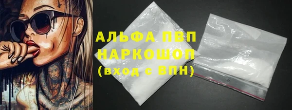 твердый Арсеньев