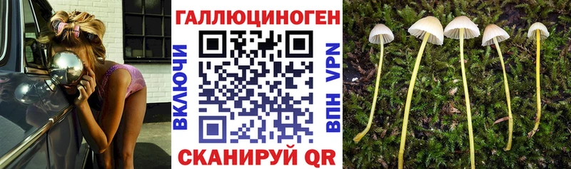 Купить где  Видное  Псилоцибиновые грибы Psilocybine cubensis 