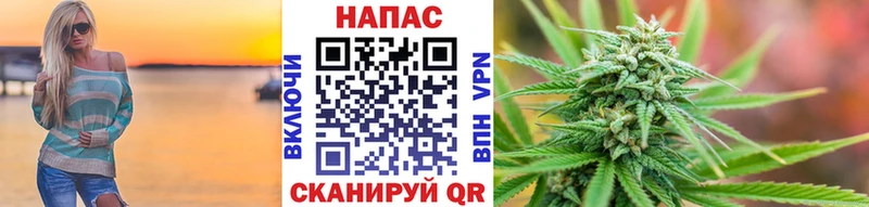 Канабис планчик  Купить где  Видное 